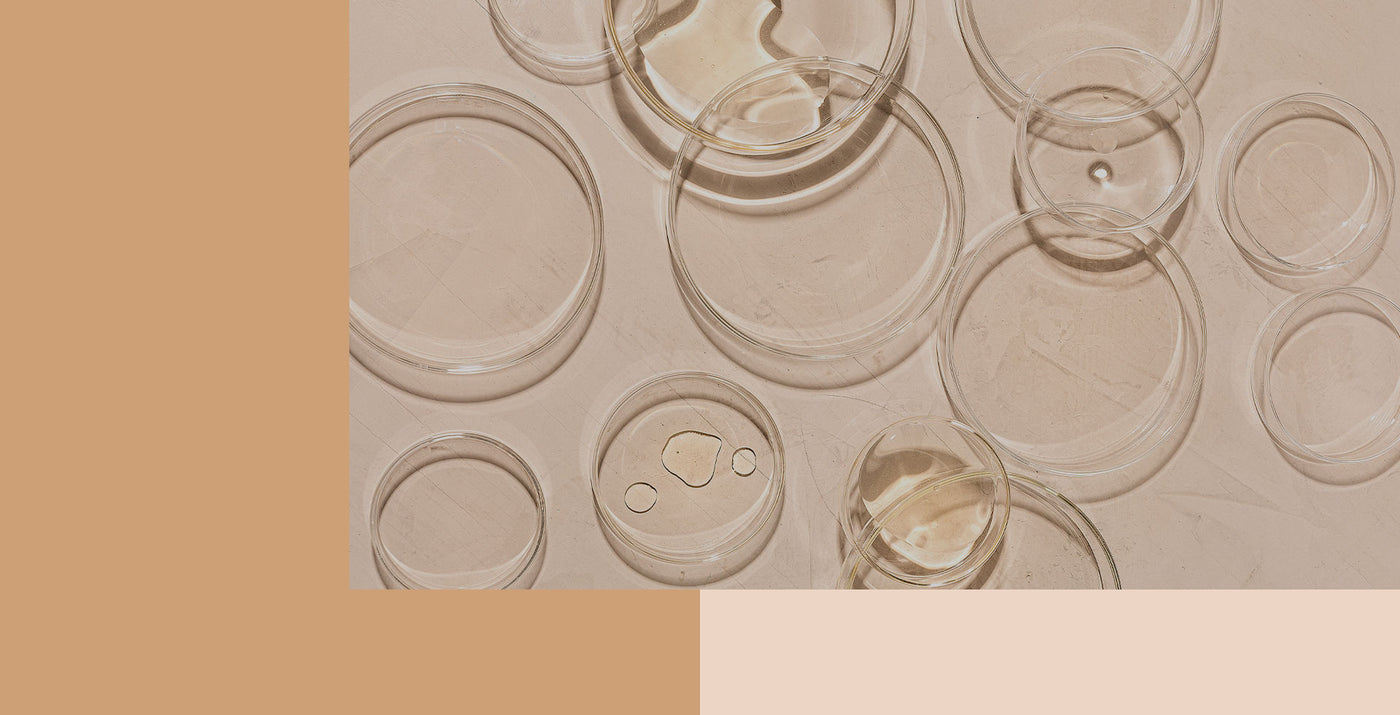Multiple petri dishes against a neutral backdrop.